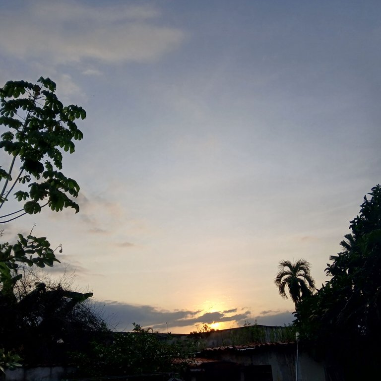 20250512_064040.jpg