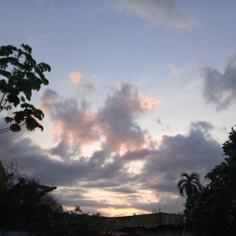 20250512_061454.jpg