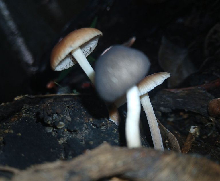 20250802_114652.jpg