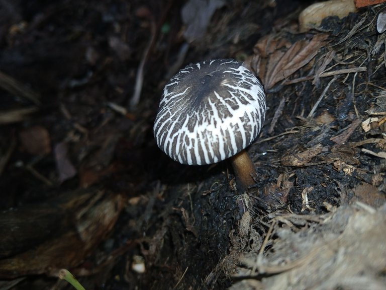 20250523_094551.jpg