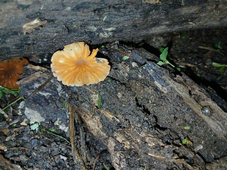 20250626_075014.jpg