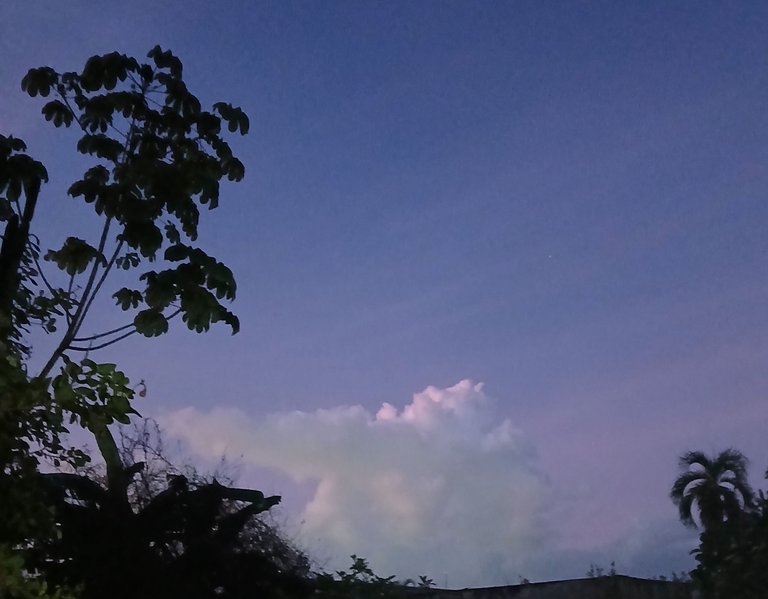 20250511_191059.jpg