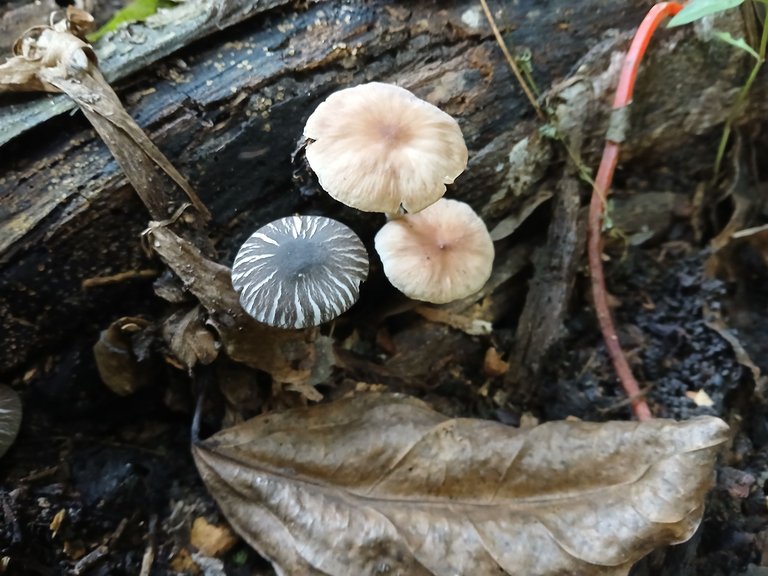 20250803_073451.jpg