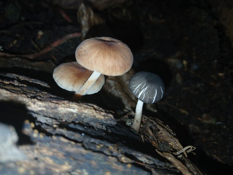20250802_155720.jpg