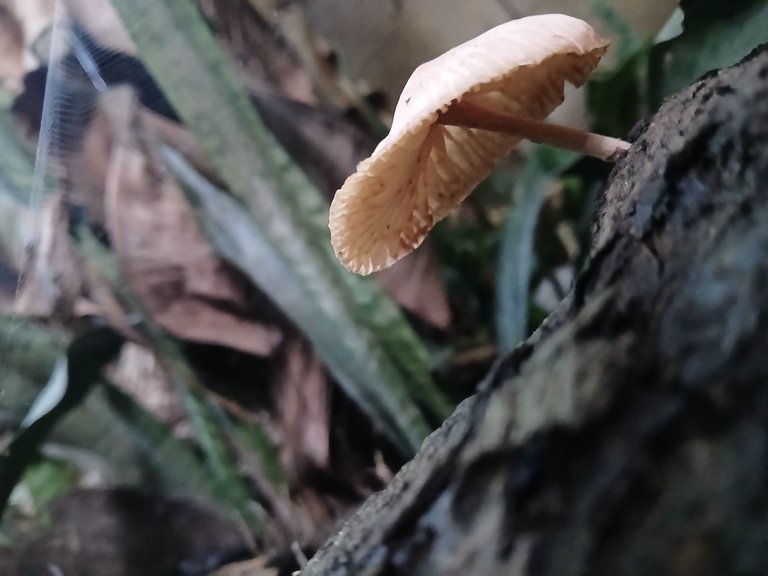 20250727_063542.jpg