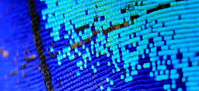 20250809_094118.jpg