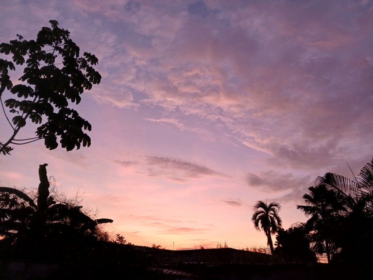 20250608_055516.jpg