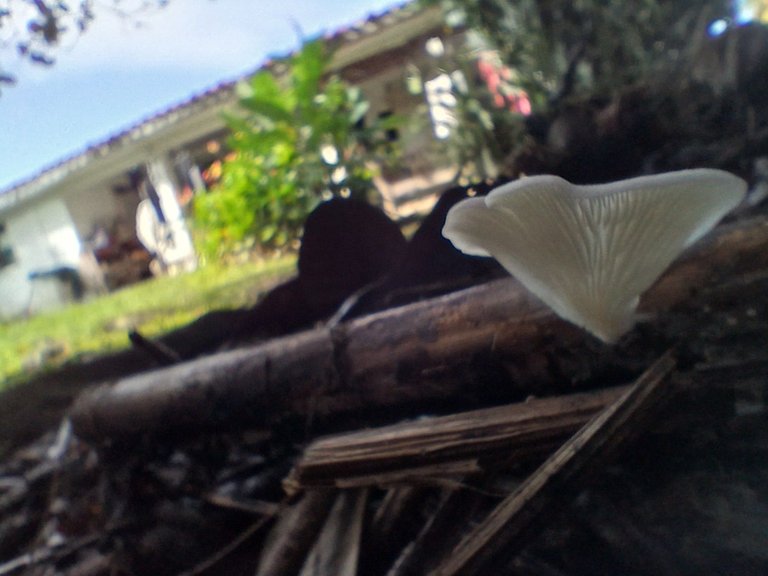 20250828_083200.jpg
