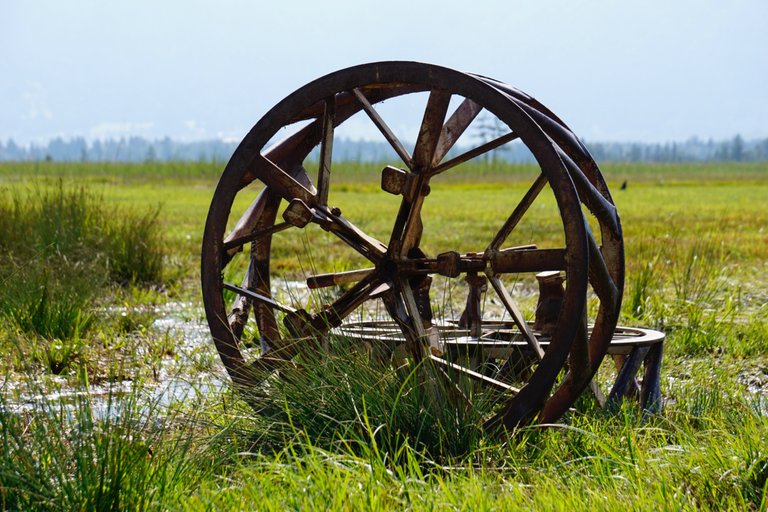 _DSC3487.JPG