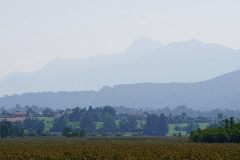 _DSC3457.JPG