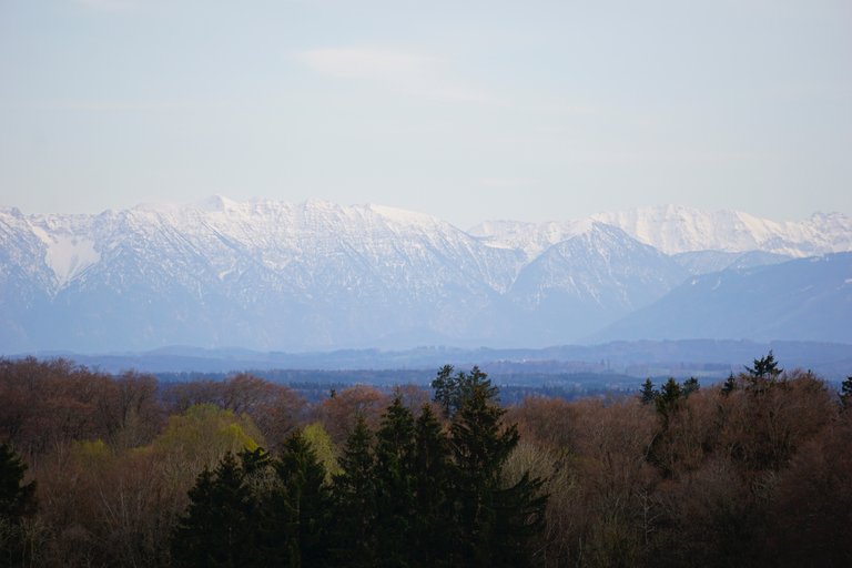 _DSC4977.JPG