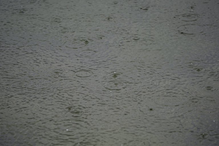 _DSC7463.JPG