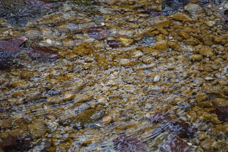 _DSC4855.JPG