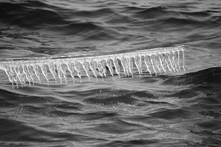 _DSC3391.JPG