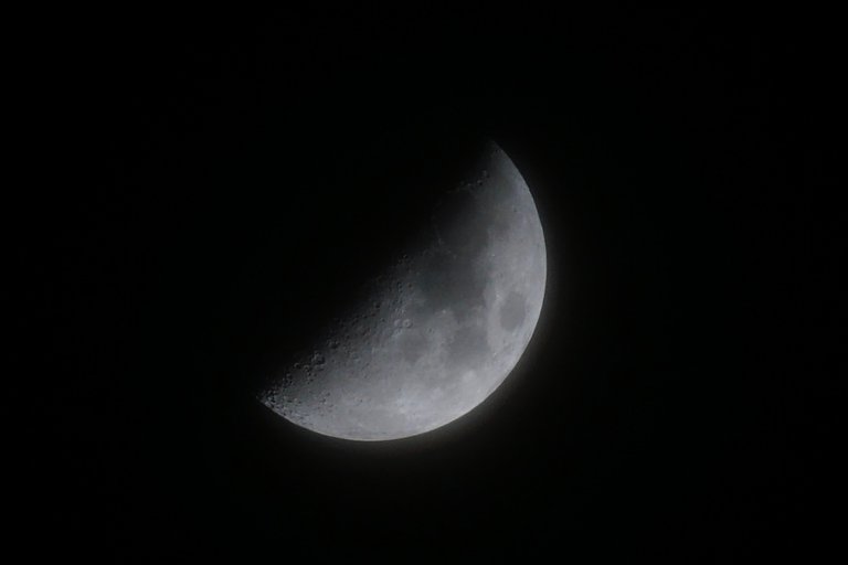 _DSC4468.jpg