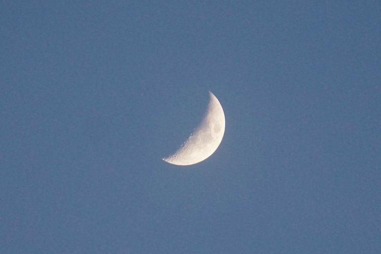 _DSC0788.JPG