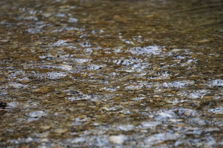 _DSC4863.JPG
