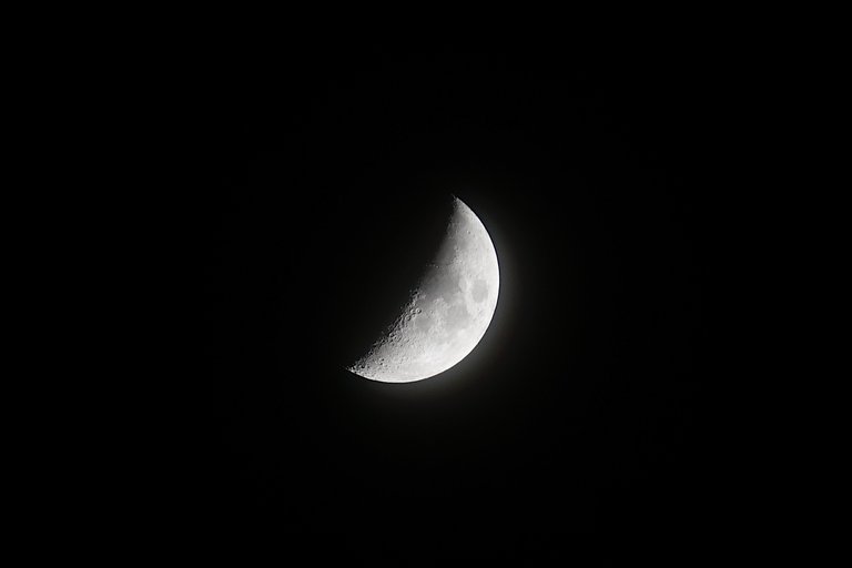 _DSC8499.JPG