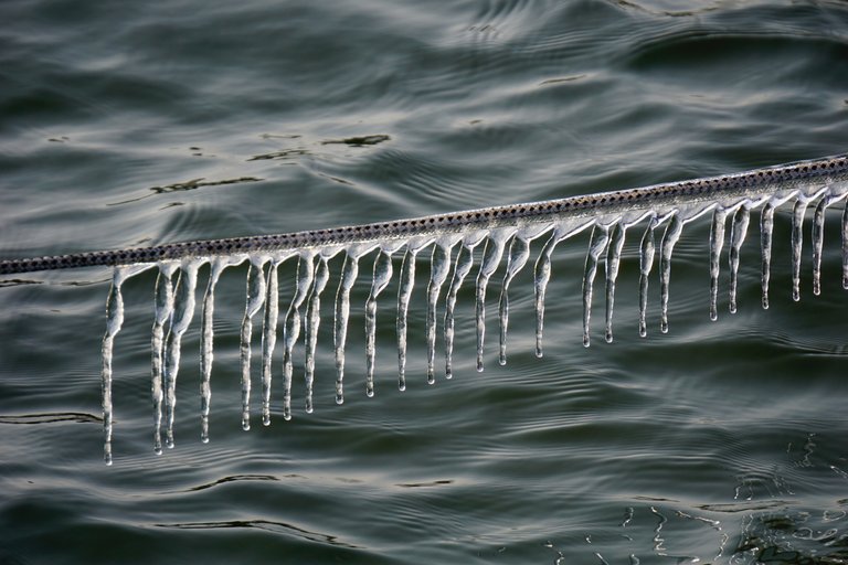 _DSC3405 2.JPG