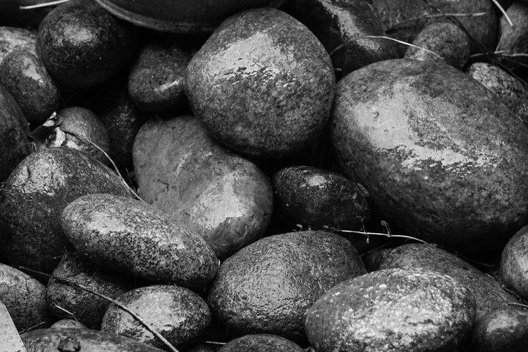 _DSC9061.JPG