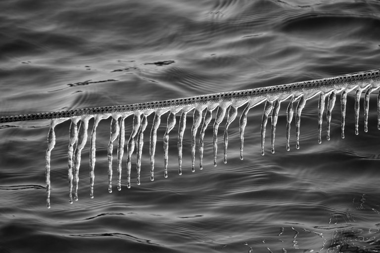 _DSC3405.JPG