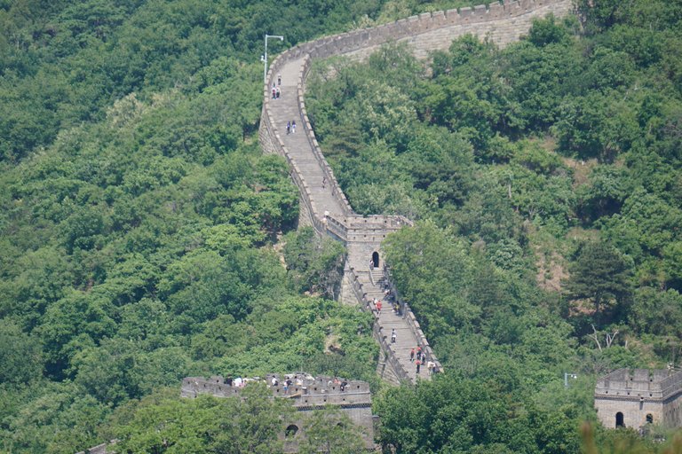 _DSC7215 3.JPG