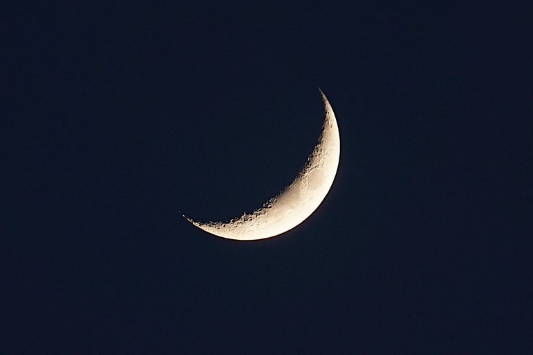 _DSC8391 3.JPG