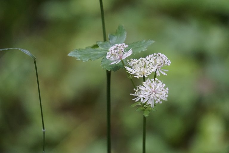 _DSC9408.JPG