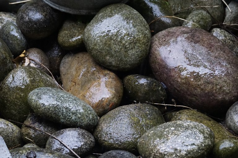 _DSC9061.JPG