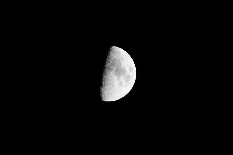 _DSC4997.JPG