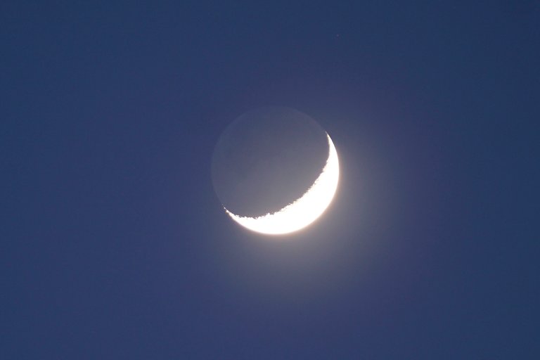 _DSC8395 2.JPG