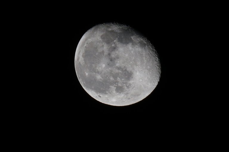 _DSC2245.JPG