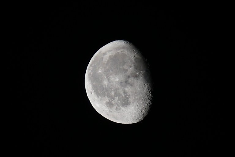 _DSC1632.JPG