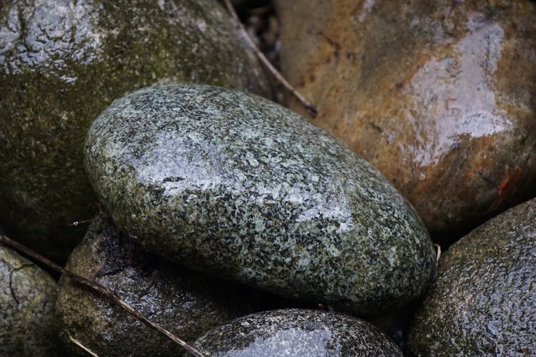 _DSC9062 2.JPG