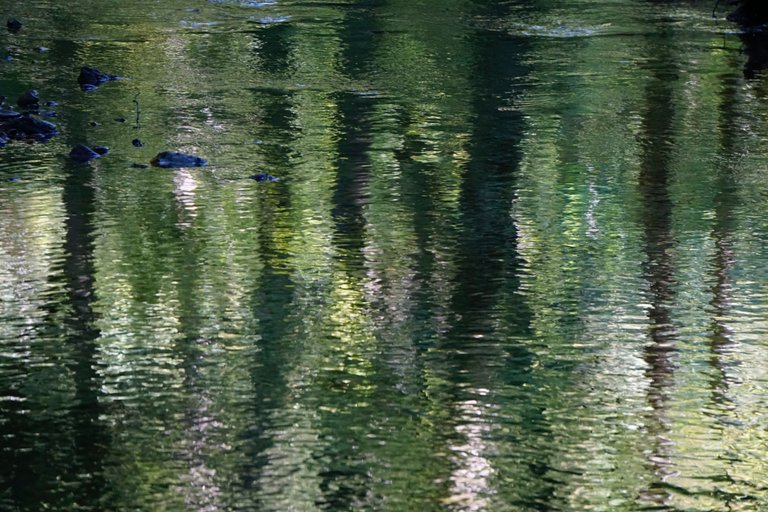 _DSC3623.JPG