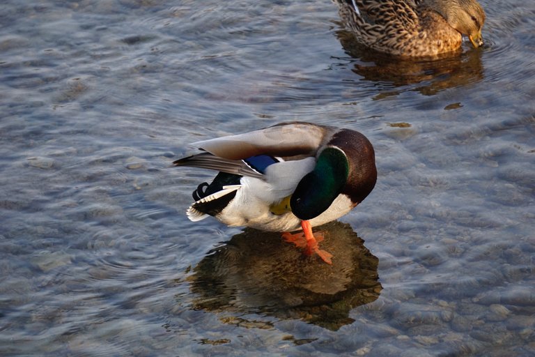 _DSC3500.JPG