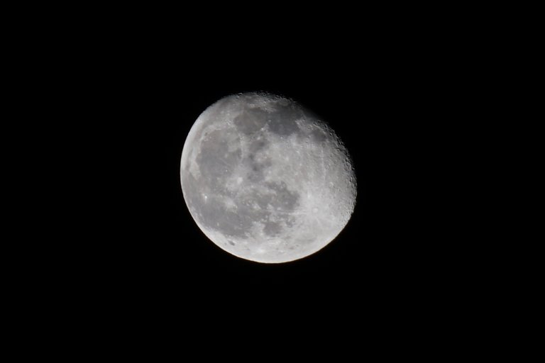 _DSC2239.JPG
