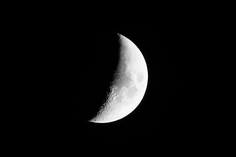 _DSC4936.JPG