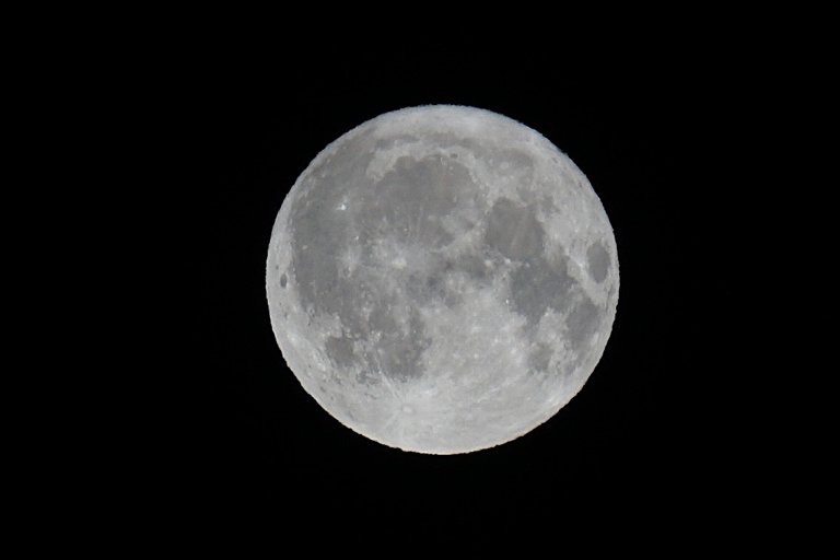 _DSC7687 3.JPG