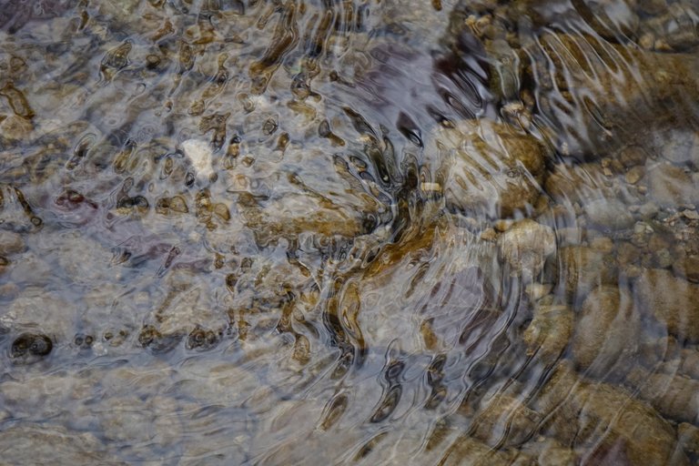 _DSC4857.JPG