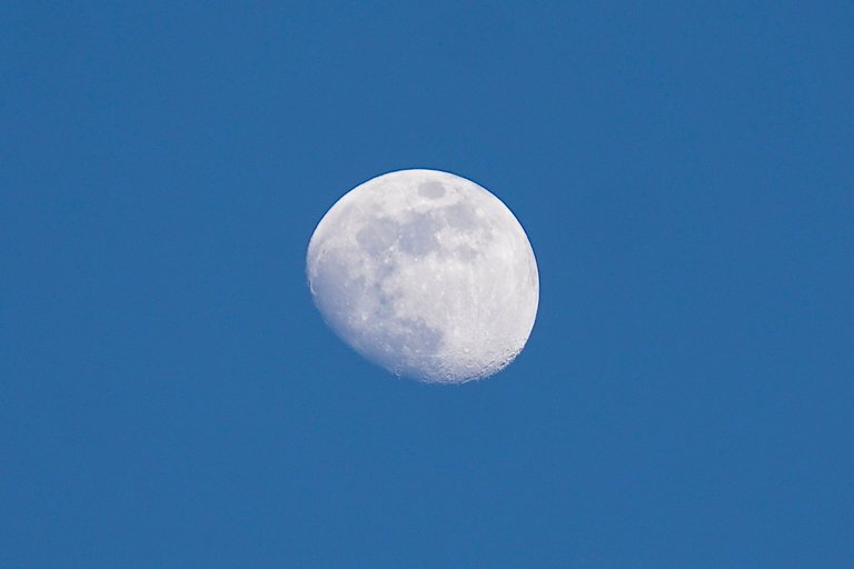 _DSC8713.JPG