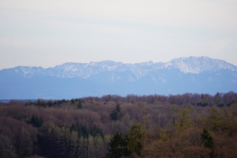 _DSC4979.JPG