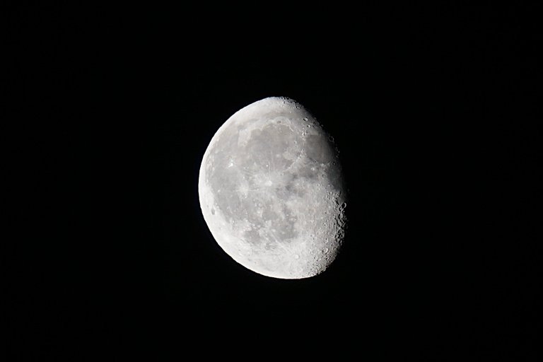 _DSC1630.JPG