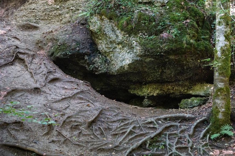 _DSC3615.JPG