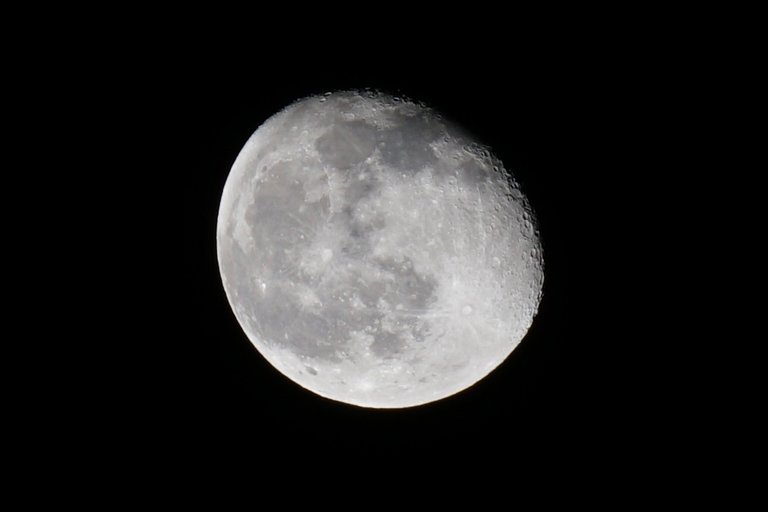 _DSC2243.JPG