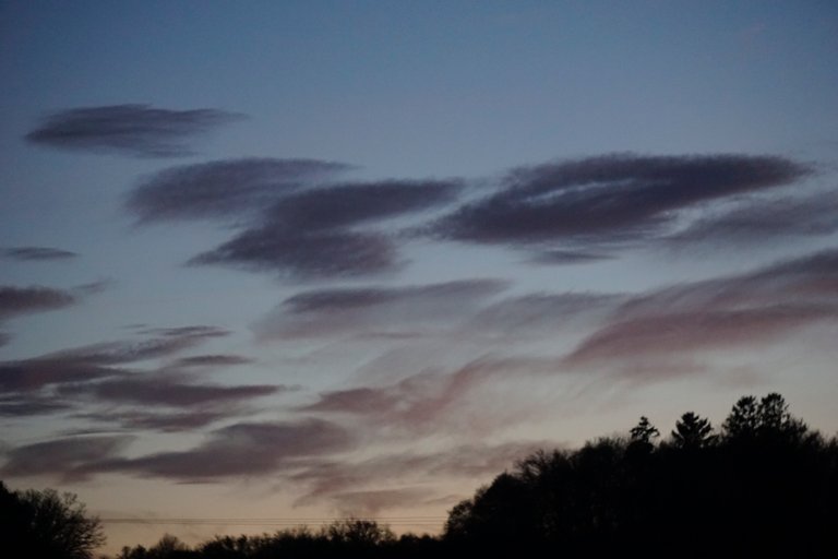 _DSC2983.JPG