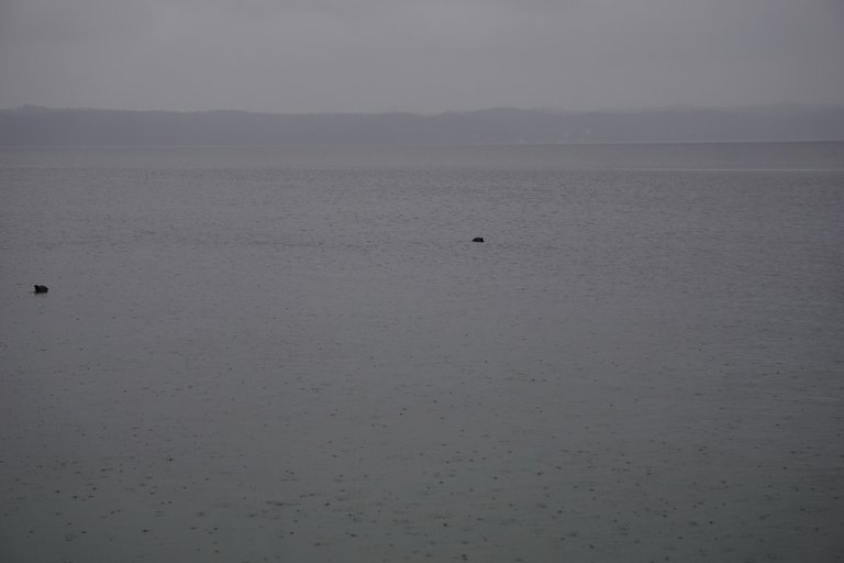 _DSC7466.JPG
