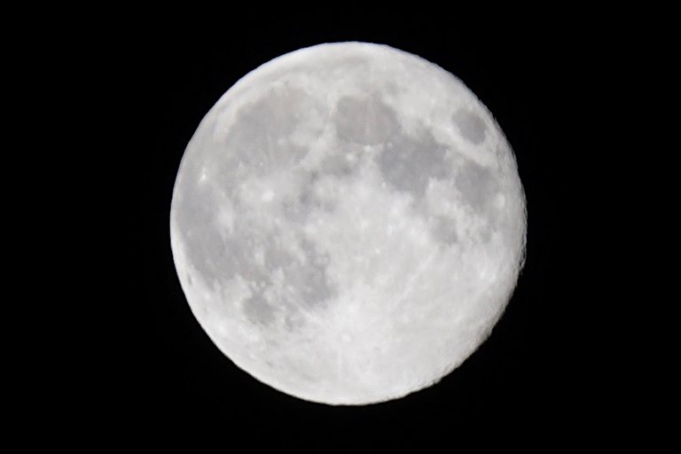 _DSC5370.JPG