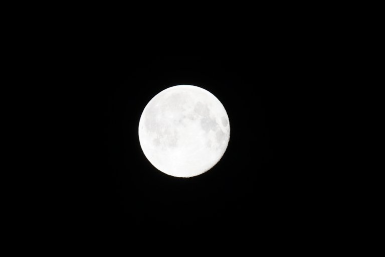 _DSC1173.JPG