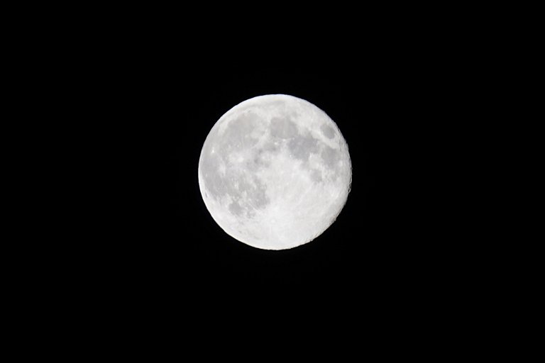 _DSC5377.JPG